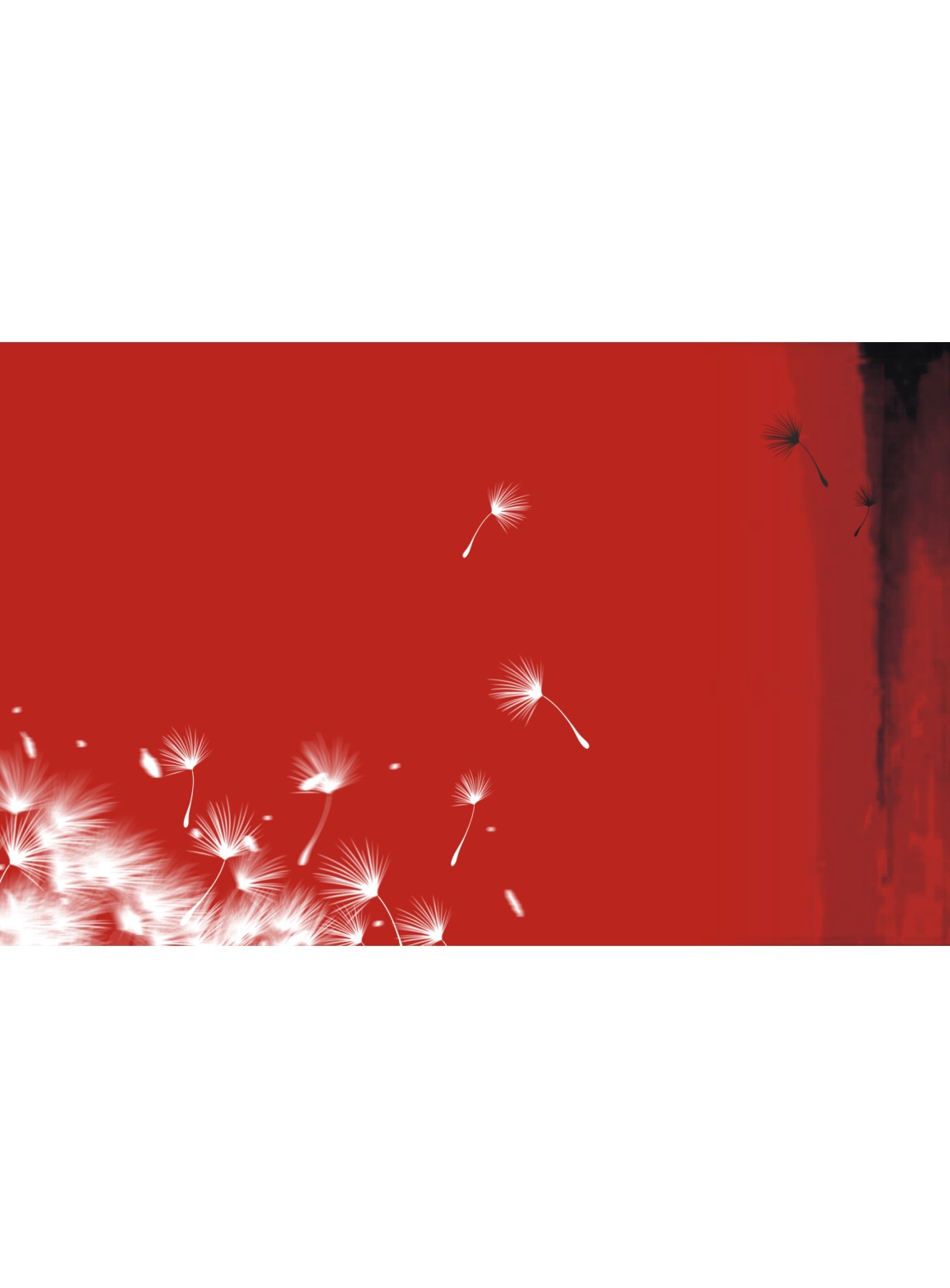 �ʱ���ý��Әӱ�����