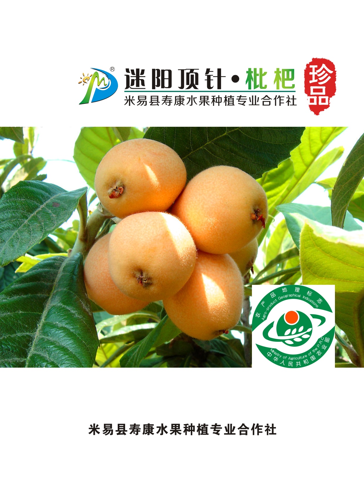 �������������f����